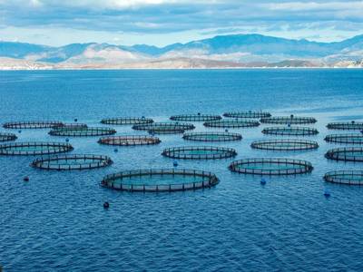 Copyright William Richardson/AdobeStock