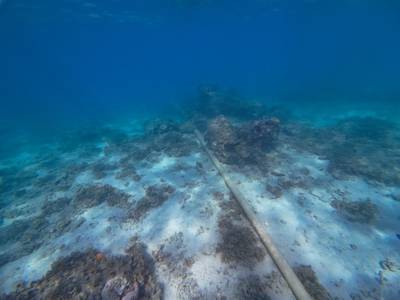 
Credit: Adobe Stock/Cam