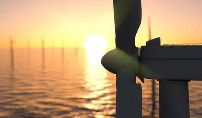 Credit: Studio-FI/AdobeStock (Cropped)