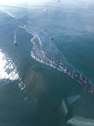 Crude oil is shown in the Pacific Ocean offshore of Orange County, Oct. 3, 2021.
A unified command has been established to respond to and clean up the oil spill off the California coast.
Official U.S. Coast Guard photo.