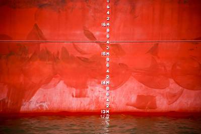 © DAVID / Adobe Stock