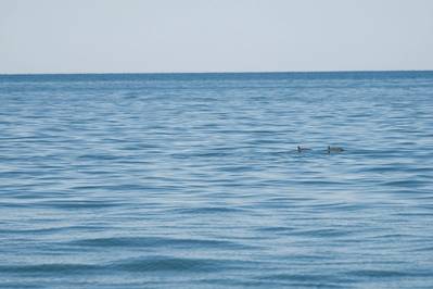 © David / Adobe Stock