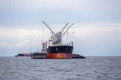 © eakgrungenerd / Adobe Stock