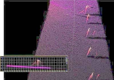 EM2040 sonar display: Image credit Kongsberg