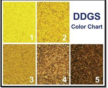 Example of a DDGS color chart from the ‘Guide to Distiller’s Dried Grains with Solubles (DDGS)’ issued by the United States Grains Council. (Source: http://www.nepia.com/our-services/loss-prevention/signals-online/cargo/ddgs-to-china/ddgs-to-china-be-aware-and-be-prepared/)