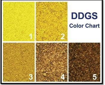 Grain Color Chart