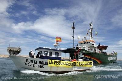 Fishing Law Reform:Image courtesy of Greenpeace