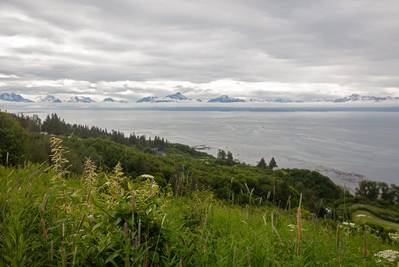 Trump Administration's Alaska Offshore Auction Falls Flat - image 4