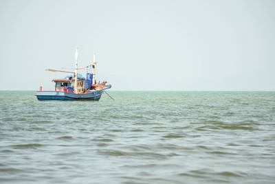 © illiano / Adobe Stock