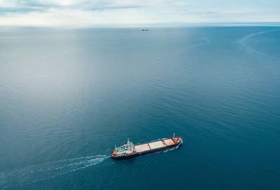 Illustration: a ship in the Black Sea near Crimea ©Garnelis/AdobeStock
