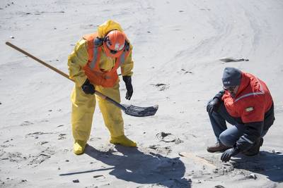 In 2019 crew conduct a shore cleanup at Jacob Riis Park Beach in New York, cleaning up tar balls reported on the beach. (U.S Coast Guard photo by Petty Officer 3rd Class Ryan Dickinson)