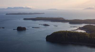 Lelu Island Area: Photo courtesy of Pacific Northwest