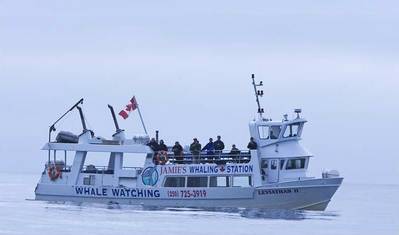 Leviathan II (File photo: Jamie's Whaling Station and Adventure Centres)