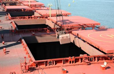 © Lidian Neeleman / Adobe Stock