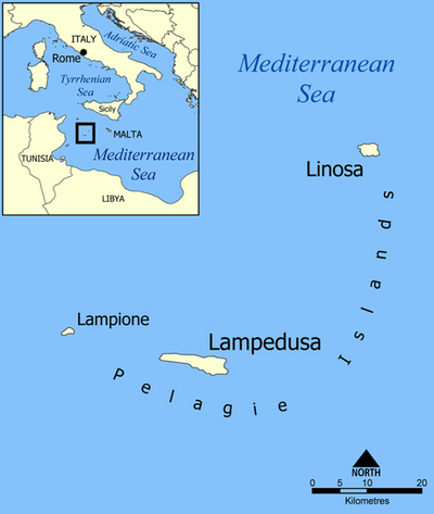 Map of the disaster area: Image CCL