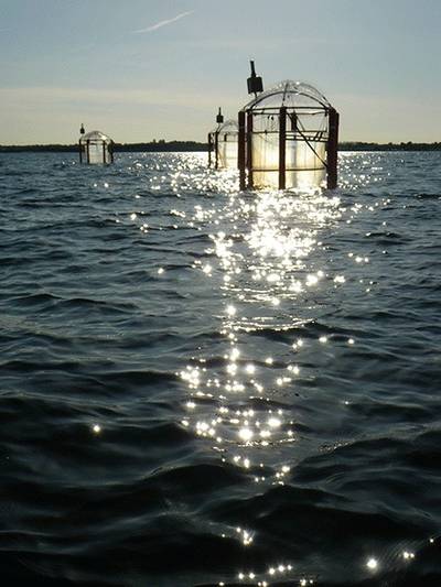 Mesocosms in Gullmar Fjord: Photo credit University of Gothenburg