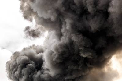 © OscarGonzalez / Adobe Stock