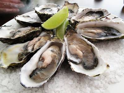 Pacific Oysters: Image Wiki CCL