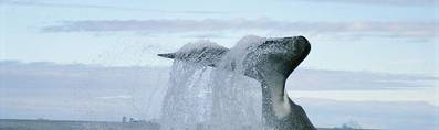 Photo: WWF