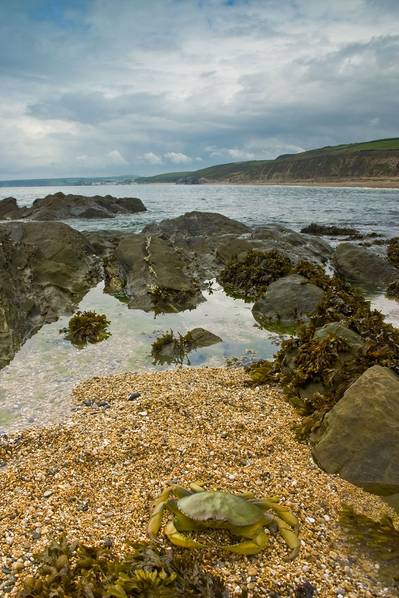 Photo: Coastline Surveys