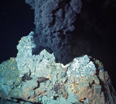 Photo courtesy of the Woods Hole Oceanographic Institution