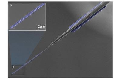 Photo credit: Dr Christopher Baker