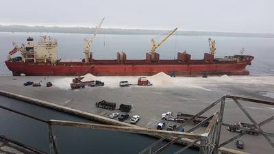 File photo: The Federal Schelde dropping off a load of salt at the Port of Johnstown in 2019. (Photo: Port of Johnstown)