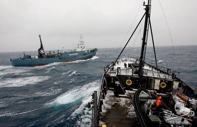 (Photo: Sea Shepherd)