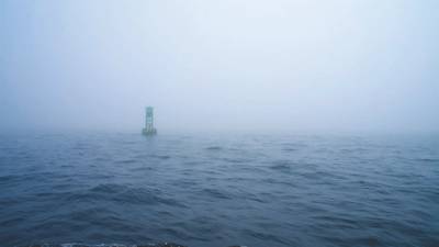 © Rachael / Adobe Stock