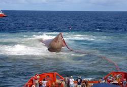 Rising from a depth of 110 feet, the bow of the Angeln container vessel is shown here breaking the surface during the refloating operation.