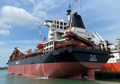 Rocktree’s Supramax size Bulk carrier RT LEO. Photo courtesy KDI/Rocktree