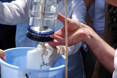 Sampling to check for invasive species​ in Batumi, Georgia. The resolutions adopted by the MEPC address type-approval of ballast water management systems and port State control. (Phot: Fred Haag/IMO)