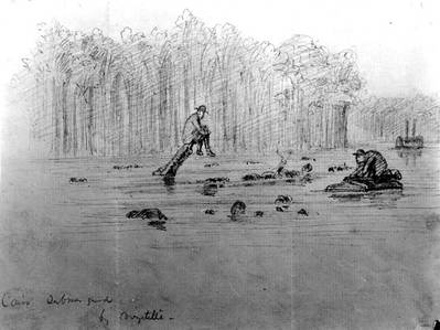 Sketch of the ship's wreck, entitled "Cairo Submerged", probably depicting the scene immediately after she was sunk by a Confederate mine in the Yazoo River, Mississippi, on 12 December 1862. Note men sitting on projecting timbers and swimming in the water nearby. Courtesy of Mrs. A. Hopkins, 1927. U.S. Naval Historical Center Photograph.