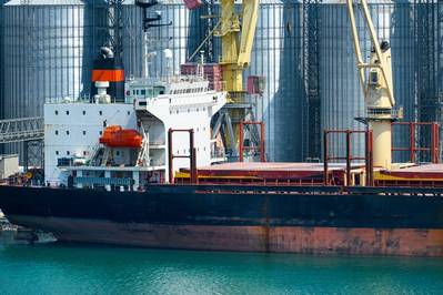 © soleg / Adobe Stock