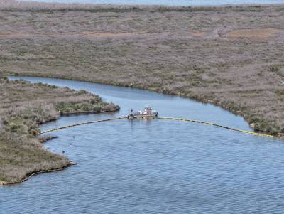 Cleanup Efforts Underway After Louisiana Oil Spill - image 4