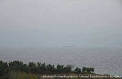 Source: Animal Welfare Foundation