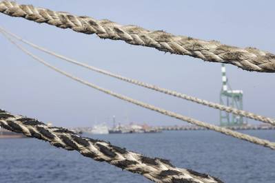 © Raja Stills / Adobe Stock