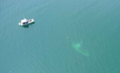 Sunken tugboat just visible: Photo courtesy of USCG