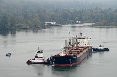 The 608-foot Genco Auvergne ran aground in the Columbia River near Skamokawa Vista Park, Wash., Oct. 1, 2020. The vessel was refloated at high tide with the aid of three tugs: Carolyn Dorothy, Samantha S. and Willamette. (U.S. Coast Guard photo courtesy of Sector Columbia River)