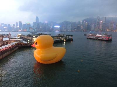 The world's largest rubber duck was lost to bad weather in China last week, but the giant duck is due to return larger than before for the Tall Ships Festival in Los Angeles