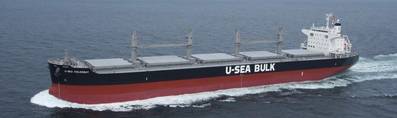 Ultrabulk Panamax Bulk Ship