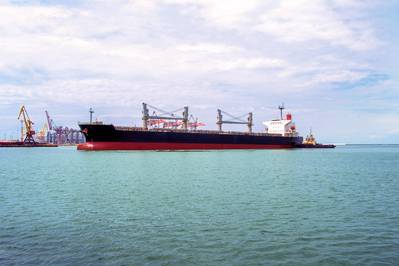 © Viktoriya / Adobe Stock