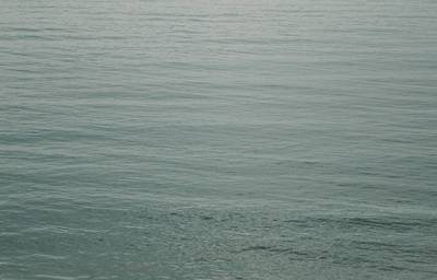 © Wirestock / Adobe Stock