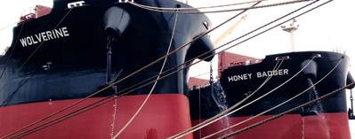 Фото: Star Bulk Management Inc.