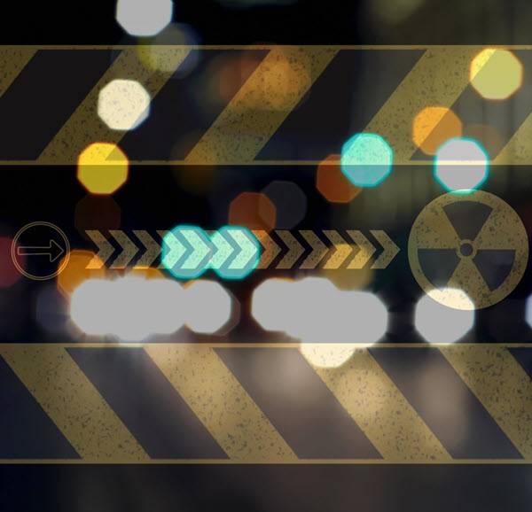 Safeguarding Security on Nuclear-Powered Ships