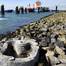 Photo: Ries van Wendel de Joode, Port of Rotterdam