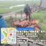 Source: Nigerian Navy