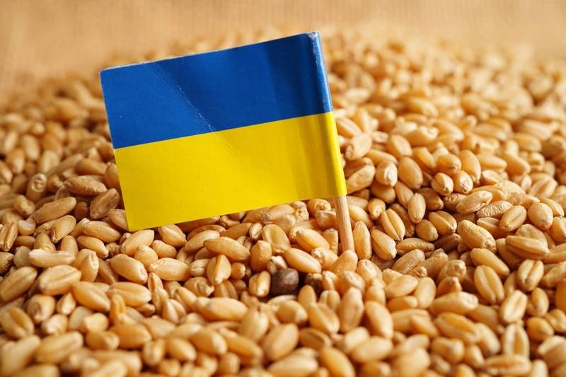 Some 720,000 T Of Food Have Left Ukraine Under Grain