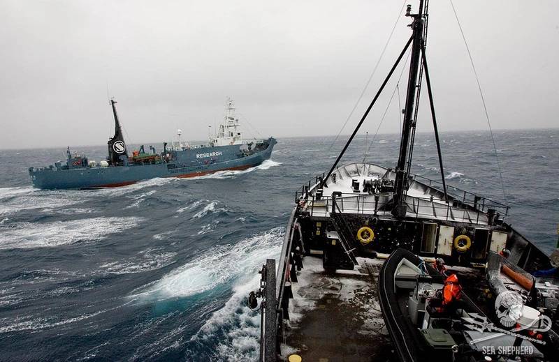 Japan Won't Lower Guard Of Whaling As Sea Shepherd