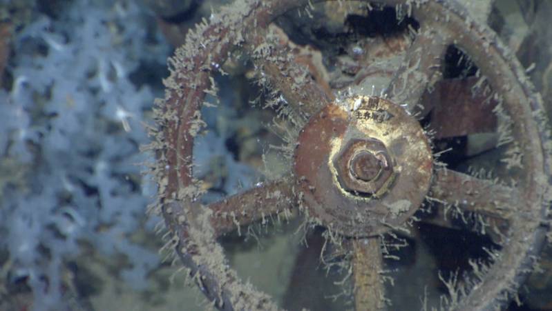 Sunken Japanese WWII Battleship Found